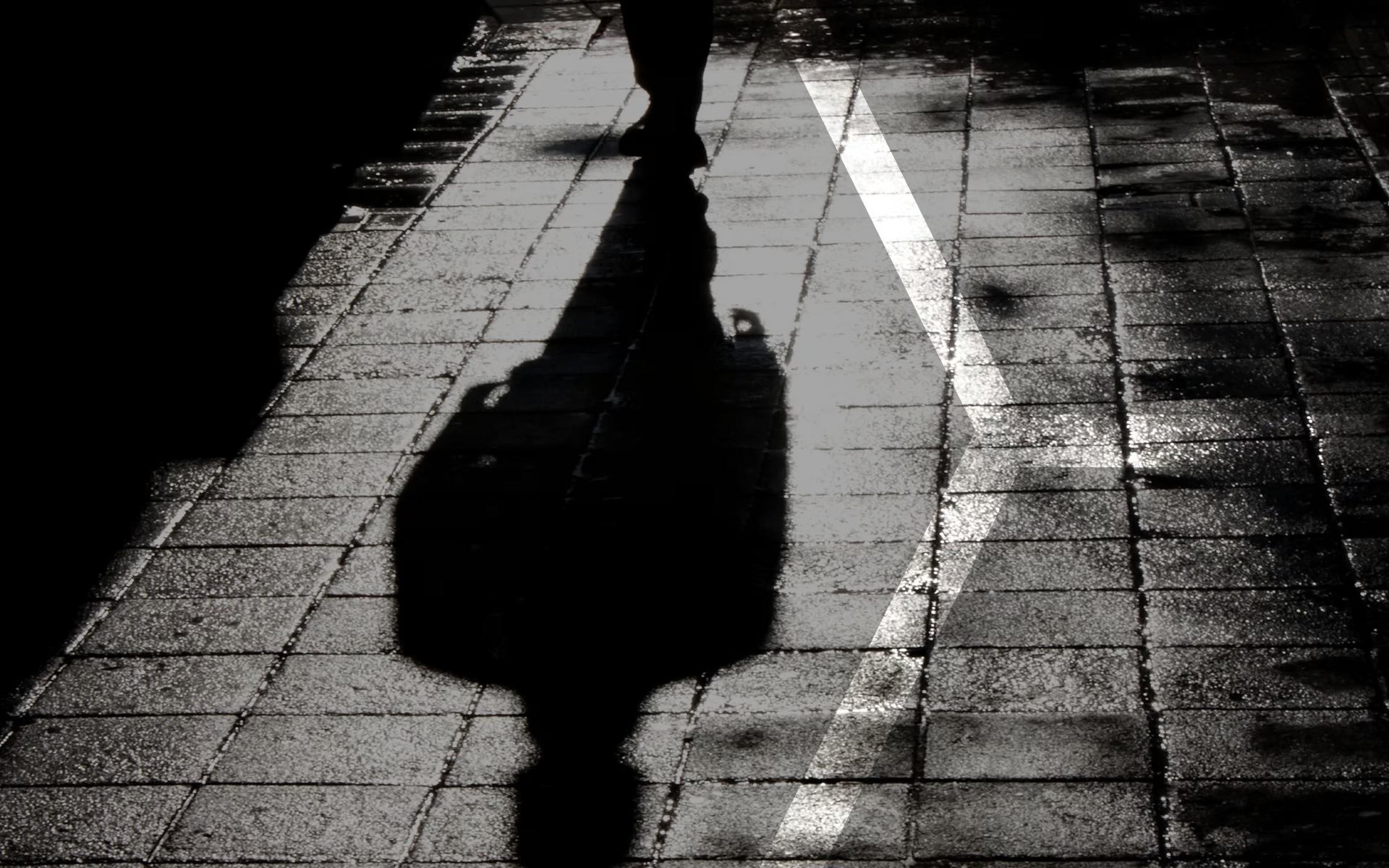 Shadow AI and enterprise visibility